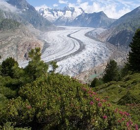 actieve vakanties aletsch gletsjertrekking