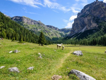day 4   huttentocht puez odle nature_park dolomieten italiaanse alpen italie berghut day 4   vallunga (24)
