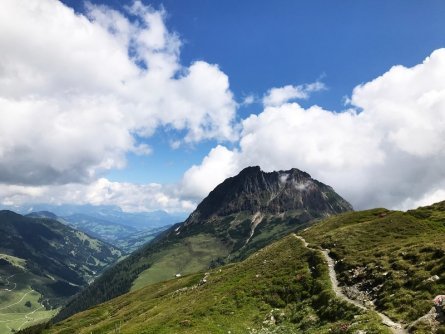 pinzgauer panorama trail et01 (7)