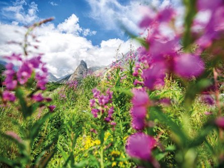 huttentocht valle maira piemont italiaanse alpen (24)