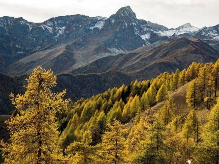 huttentocht valle maira piemont italiaanse alpen (17)