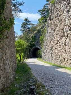 karst en trieste trail alpe adria trail etappe 36 meerdaagse wandeltocht (5)