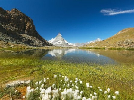 actieve vakantie rondreizen zwitserland highlights zermatt (17)