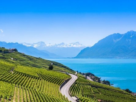 actieve vakantie rondreizen zwitserland highlights lavaux (11)