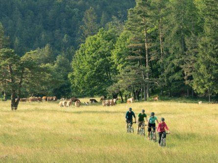 outdoor active bled actieve avontuurlijke vakantie mtb slovenië julische alpen (6)