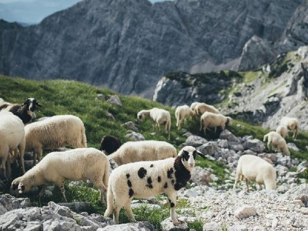 huttentocht triglav panorama gorenjska slovenie julische alpen 3