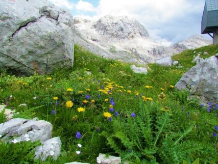 huttentocht triglav panorama gorenjska slovenie prehodavci pass 2