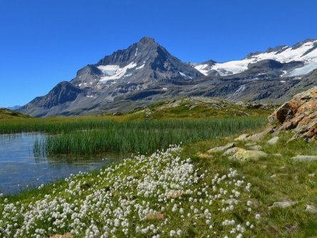 huttentocht vanoise national park frankrijk auvergne rhone alpes vanoise dentparrachee