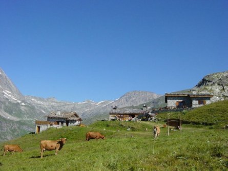 huttentocht vanoise national park frankrijk auvergne rhone alpes vanoise plan sec refuge