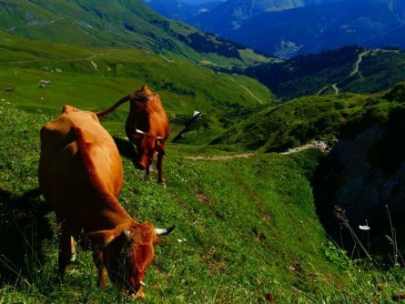 huttentocht savoie panorama frankrijk beaufort col du joly 2