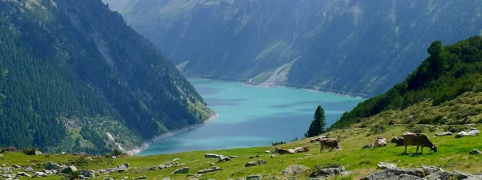 rondreis oostenrijk op maat tirol zillertal meer