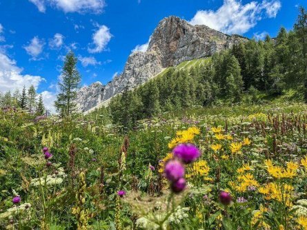 huttentocht triglav national park julische alpen slovenië gorenjska 6