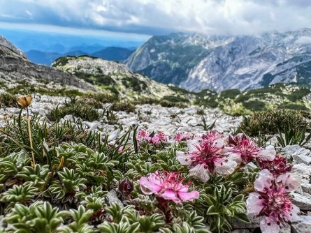 huttentocht triglav national park julische alpen slovenië gorenjska
