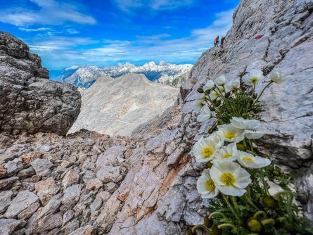 huttentocht triglav national park julische alpen slovenië gorenjska 4