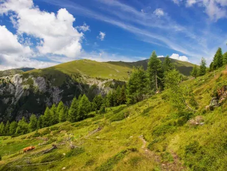 rondreis oostenrijk back to nature karinthië nockberge