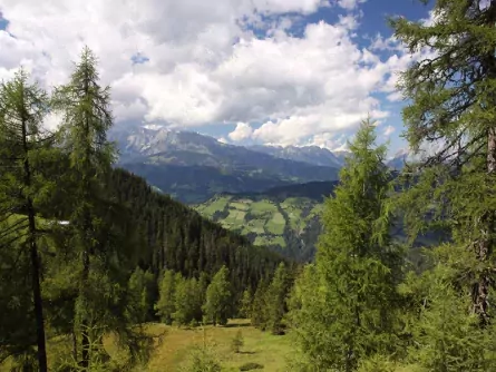 rondreis oostenrijk back to nature salzkammergut