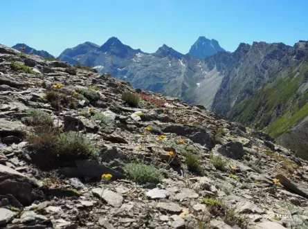 huttentocht piemonte panorama frankrijk piedmont mont viso © philippe mazet