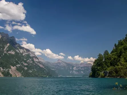 rondreis zwitserland back to nature sankt gallen oberterzen walensee 1