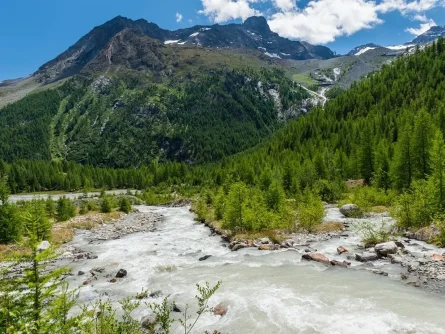 rondreis zwitserland back to nature wallis saas fee 4