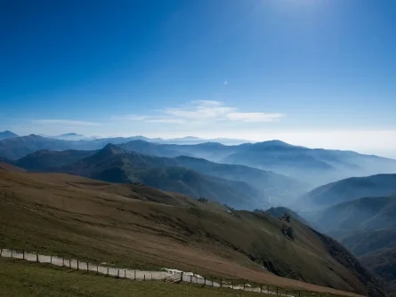 rondreis zwitserland back to nature ticino bissone monte generoso 1