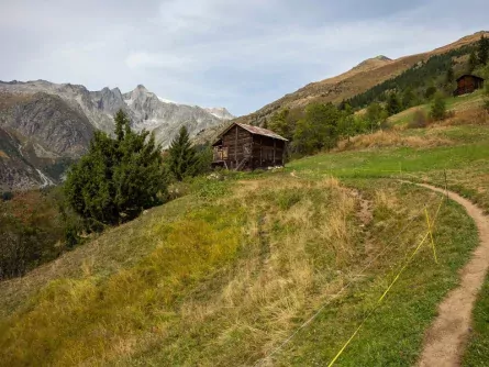 rondreis zwitserland back to nature wallis fiesch fieschertal 2