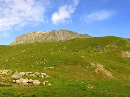 rondreis zwitserland back to nature wallis fiesch eggishorn