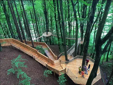 family fun karinthië oostenrijk familywald 4