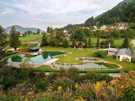 family fun karinthië oostenrijk naturschwimbad puch 2