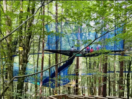 family fun karinthië oostenrijk familywald 5