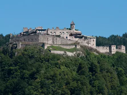 family fun karinthië oostenrijk landskron affenberg 4