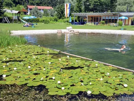 family fun karinthië oostenrijk naturschwimbad puch 1