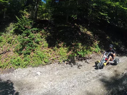 outdoor active lofer salzburger saalachtal outdoorvakantie oostenrijk mountain cart 2