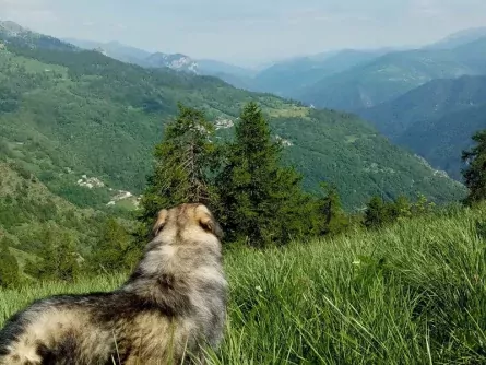 huttentocht valle maira met hond itali&euml; piedmont 1