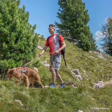 foto's ht val di fassa met hond (3)