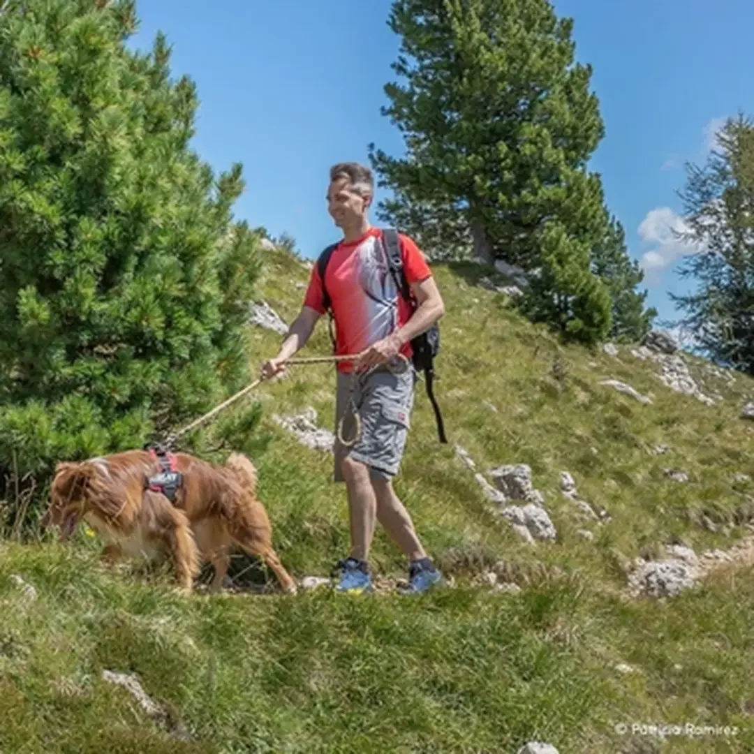 foto's ht val di fassa met hond (3)