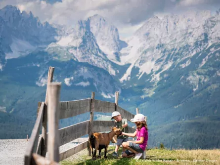 family fun brixental vakantie met kinderen oostenrijkse alpen tirol astberg ponyalm going 2