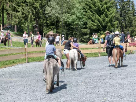 family fun brixental vakantie met kinderen oostenrijkse alpen tirol astberg ponyalm going