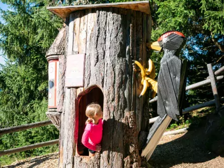 family fun brixental vakantie met kinderen oostenrijkse alpen tirol alpinolino westendorf 2