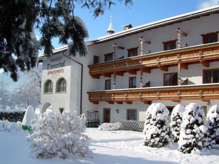 pension tannerhof zell am ziller (7)