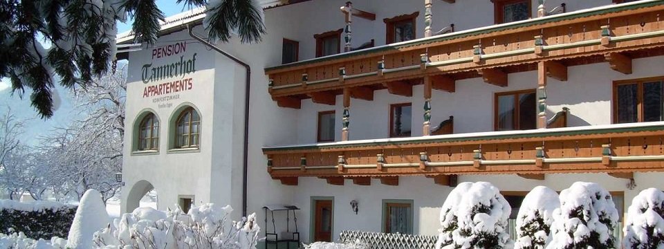 pension tannerhof zell am ziller (108)