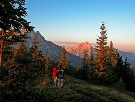 luchs trail kalbling stage 05 klinkehütte johnsbach (alpenverein admont gesause) 5