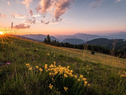 family active ossiacher see avontuurlijke gezinsvakantie karinthie oostenrijk traumbogen höhenrundweg tourismus gerlitzen 1