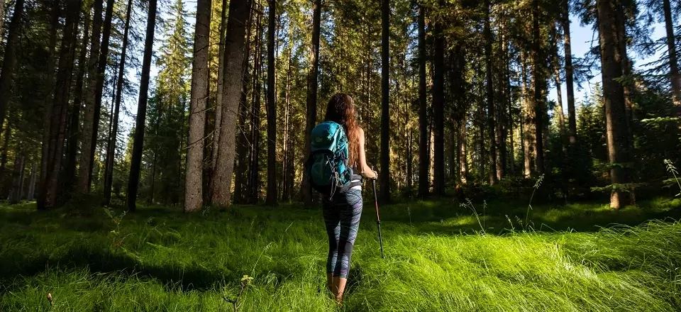 gehele juliana trail actieve vakantie meerdaagse wandeltocht julische alpen slovenië pokljuka (1)