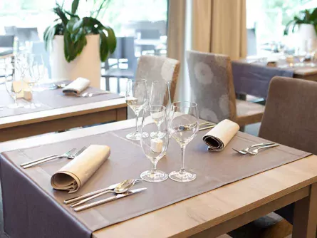 hotel astoria bled (9)