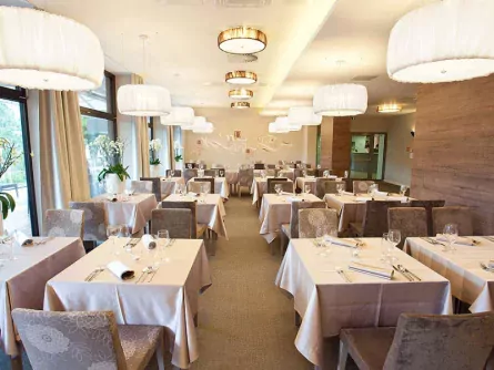 hotel astoria bled (2)