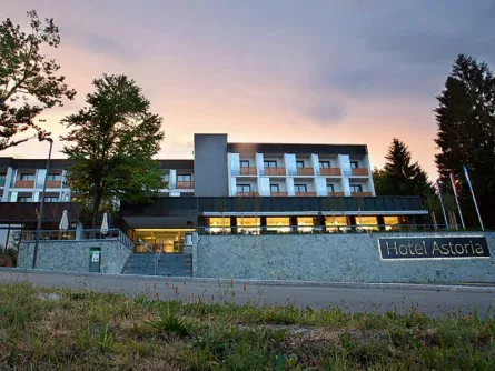 hotel astoria bled (6)