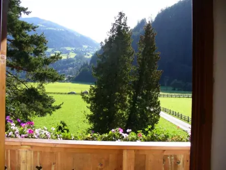 pension tannerhof zell am ziller (18)