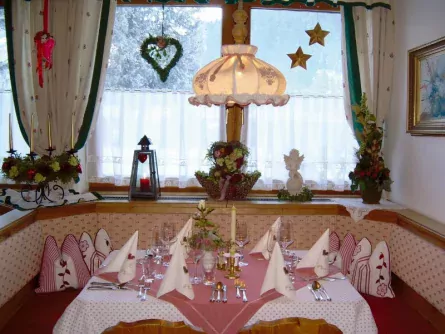 pension tannerhof zell am ziller (6)