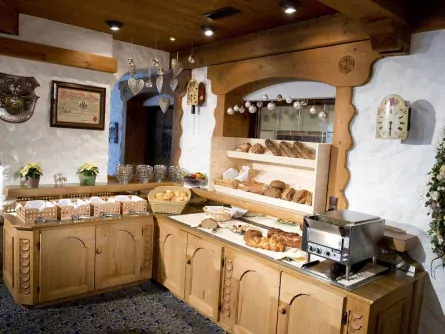 hotel zapfenhof zell am ziller (5)