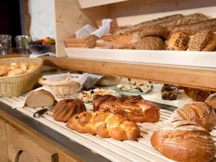 actieve gezinsvakanties outdoorvakantie families zellbergeben landgut zapfenhof 18